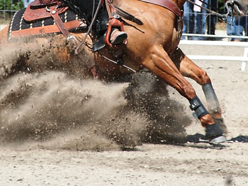 Score card venerdì Futurity Toscano e 6 tappa TRHA-IRHA-FISE-NRHA 2024